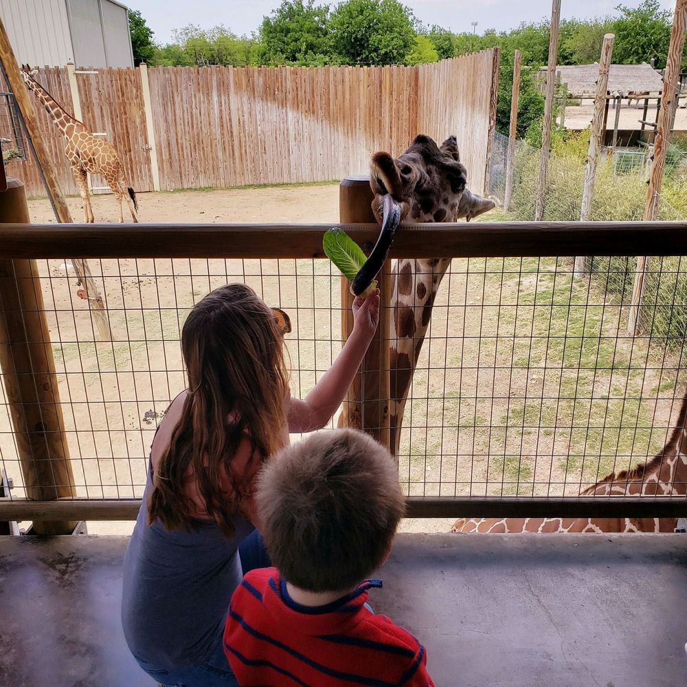 Meet your Posher, Amber